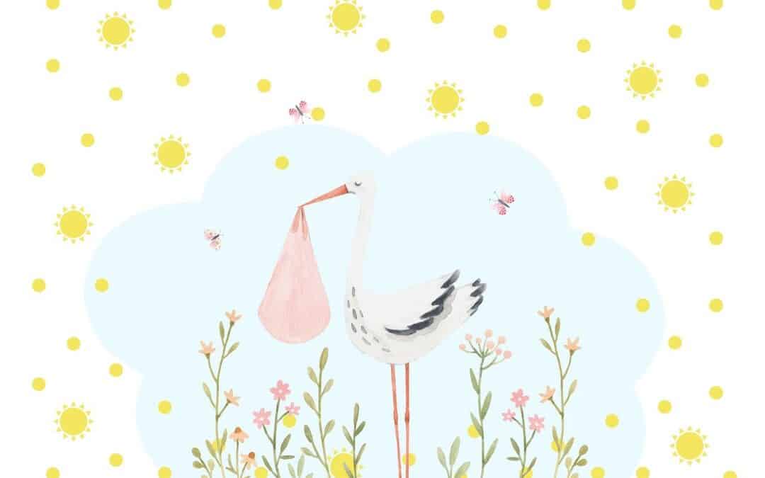 Naissance du blog